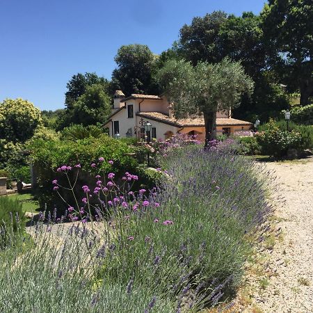 Olivella Villa Campagnano Di Roma Kültér fotó