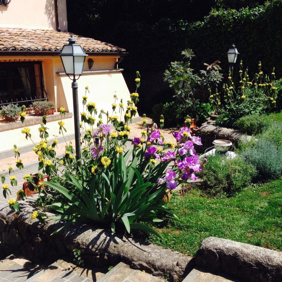 Olivella Villa Campagnano Di Roma Kültér fotó