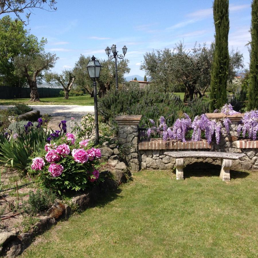 Olivella Villa Campagnano Di Roma Kültér fotó
