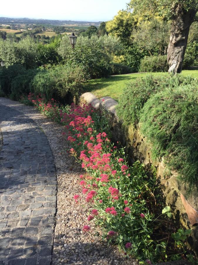 Olivella Villa Campagnano Di Roma Kültér fotó