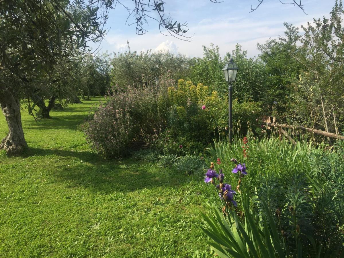 Olivella Villa Campagnano Di Roma Kültér fotó