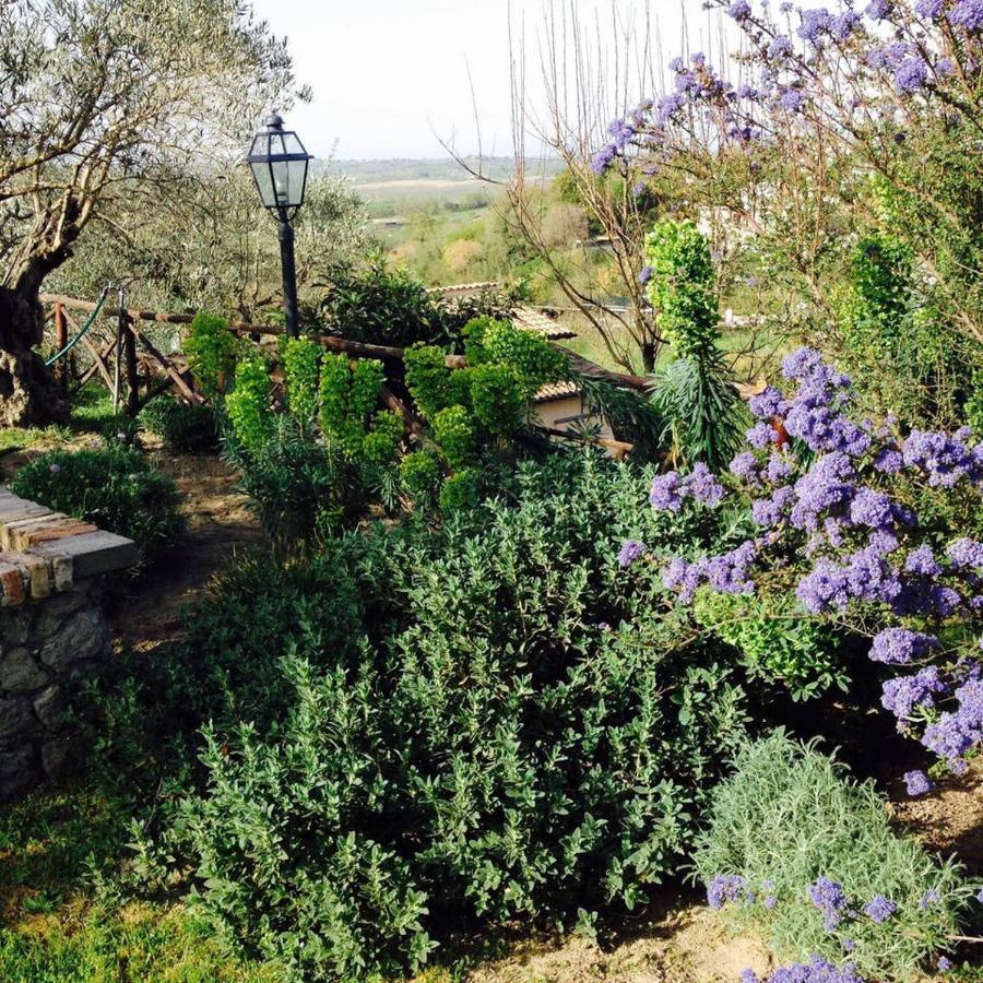 Olivella Villa Campagnano Di Roma Kültér fotó