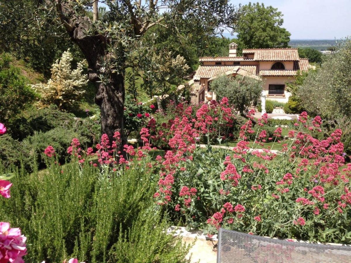 Olivella Villa Campagnano Di Roma Kültér fotó